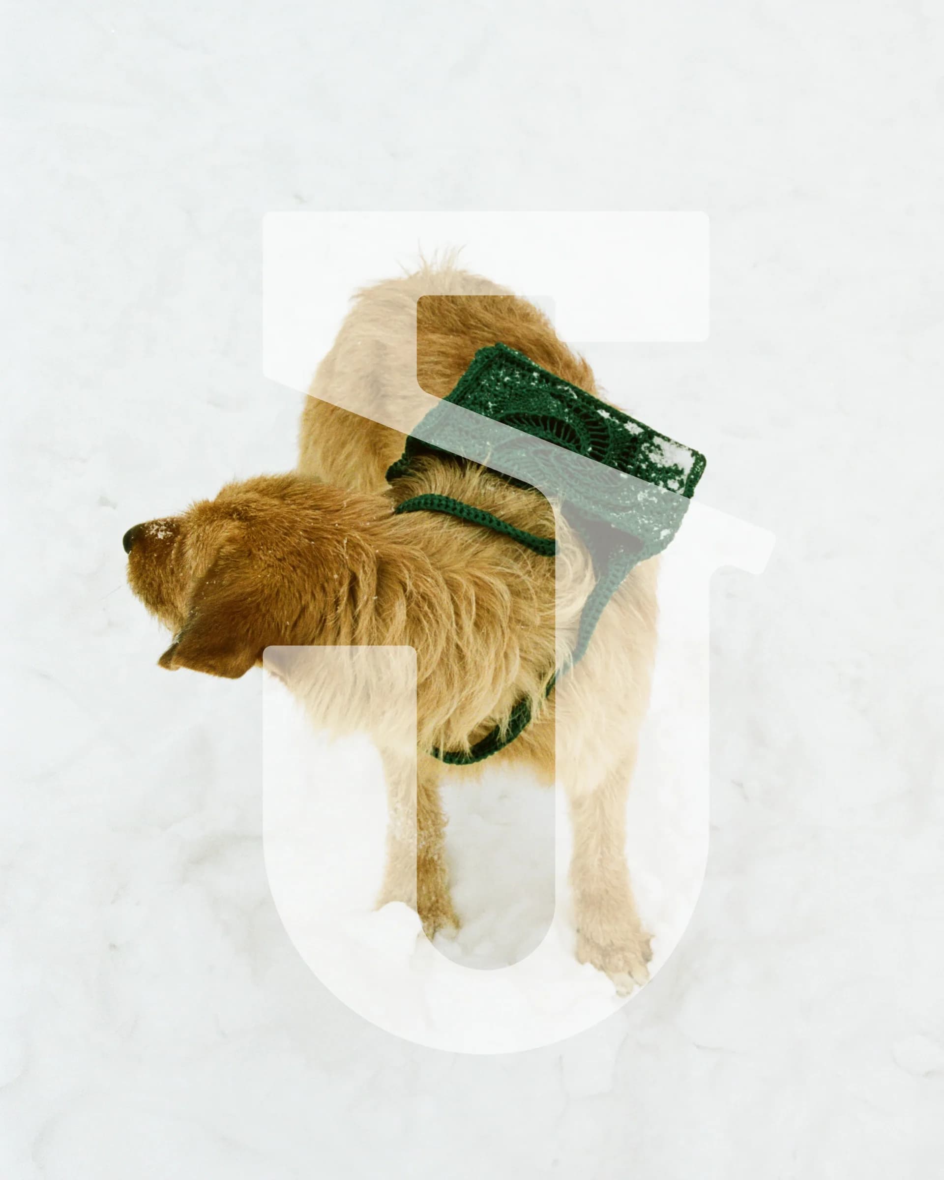 Fall Winter 2021 — image 1.3