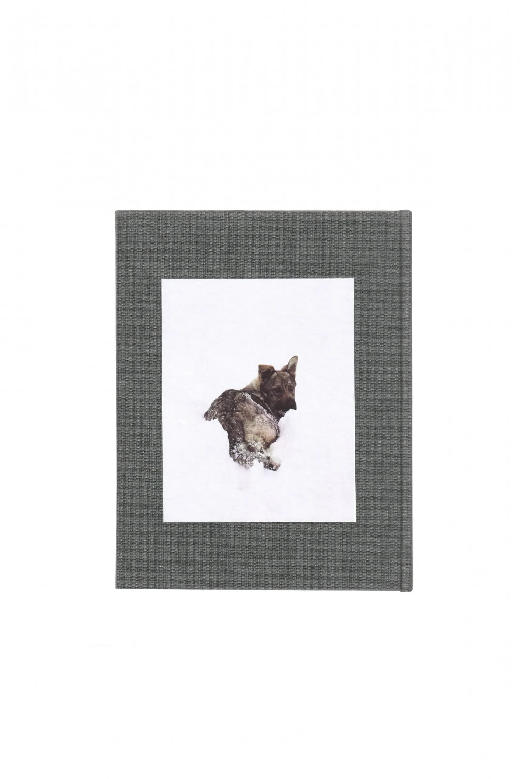 Books — image 1.2