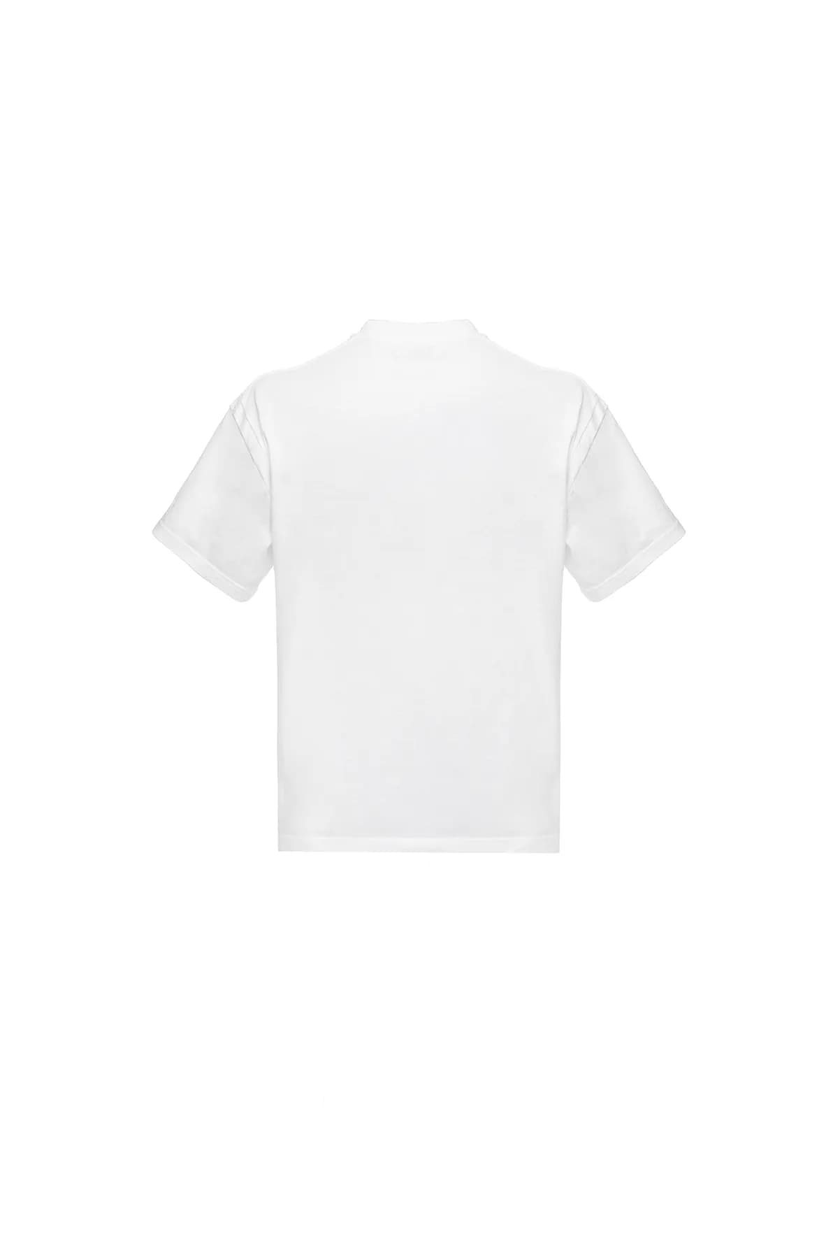 Fragment X — image 2.2